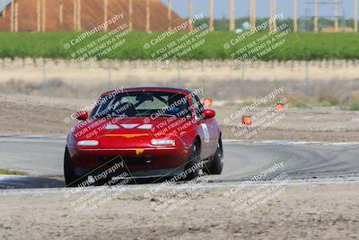 media/Apr-10-2022-Speed Ventures (Sun) [[fb4af86624]]/Black/Grapevine (Session 3)/